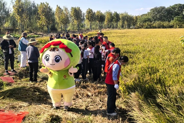 稻田慶豐收 心田護花開——吳江區青少年校外心理科普基地（盛澤站）啟動--.jpg