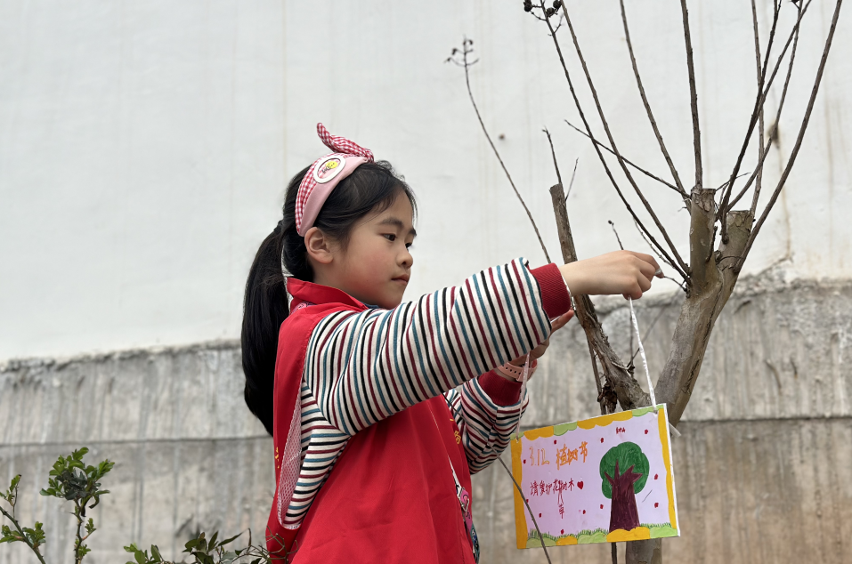 豐都縣栗子鄉青少年家庭教育互助會開展“共建綠色家園·‘栗’享碧水藍天”植樹護林活動2.png